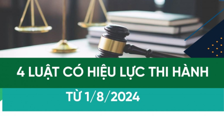 4 Luật có hiệu lực thi hành từ 1/8/2024