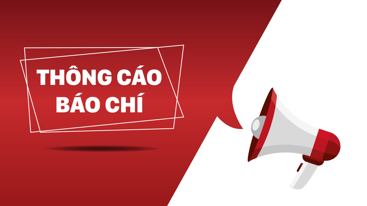 Thông cáo báo chí văn bản quy phạm pháp luật do Hội đồng nhân dân Phường 2 ban hành trong tháng 12 năm 2024